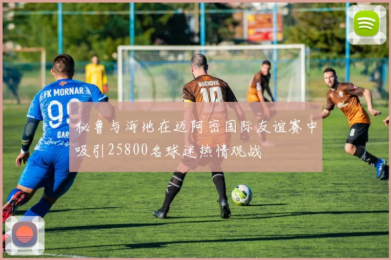 秘鲁与海地在迈阿密国际友谊赛中吸引25800名球迷热情观战